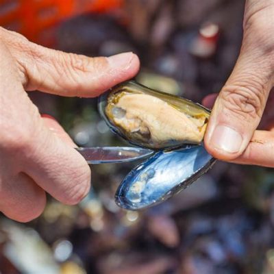  Noordse Mossel: Een Sterke Overlever met een Verborgen Schoonheid!